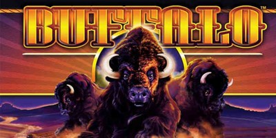 BetMGM Casino NJ Brings Popular Buffalo Slot Online