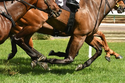New Jersey Racetracks Could Offer Video Slots in 2024