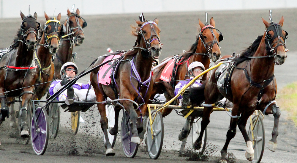 Meadowlands Unveils Schedule 20 Million Total Stakes Purses For 2022 